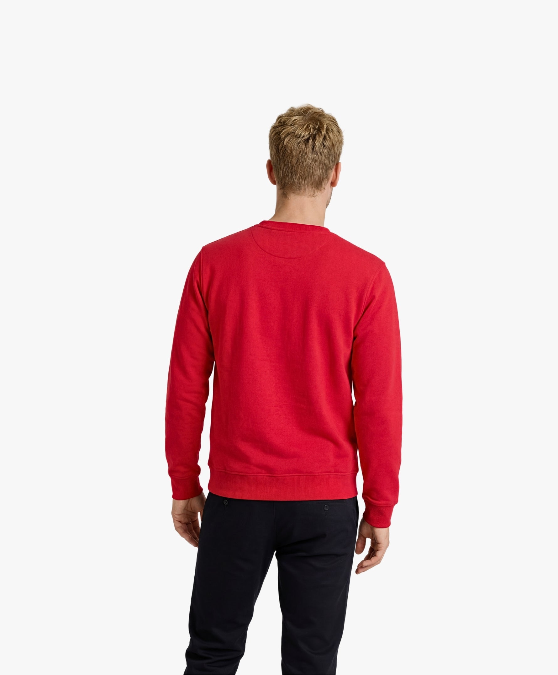 Vue de dos d’un homme portant un sweatshirt rouge Salut Fred de la collection « This is not woke. You are just a dick. »