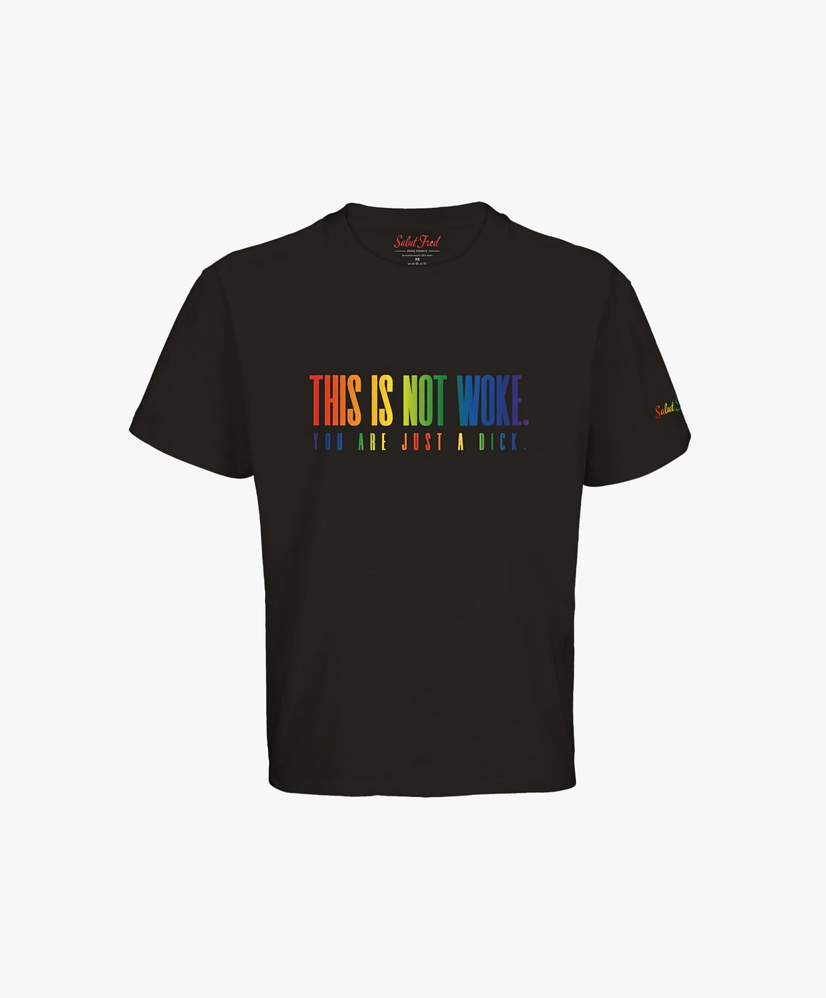 Vue de face du t-shirt oversize noir Salut Fred de la collection « This is not woke. You are just a dick. » avec slogan multicolore imprimé au centre de la poitrine